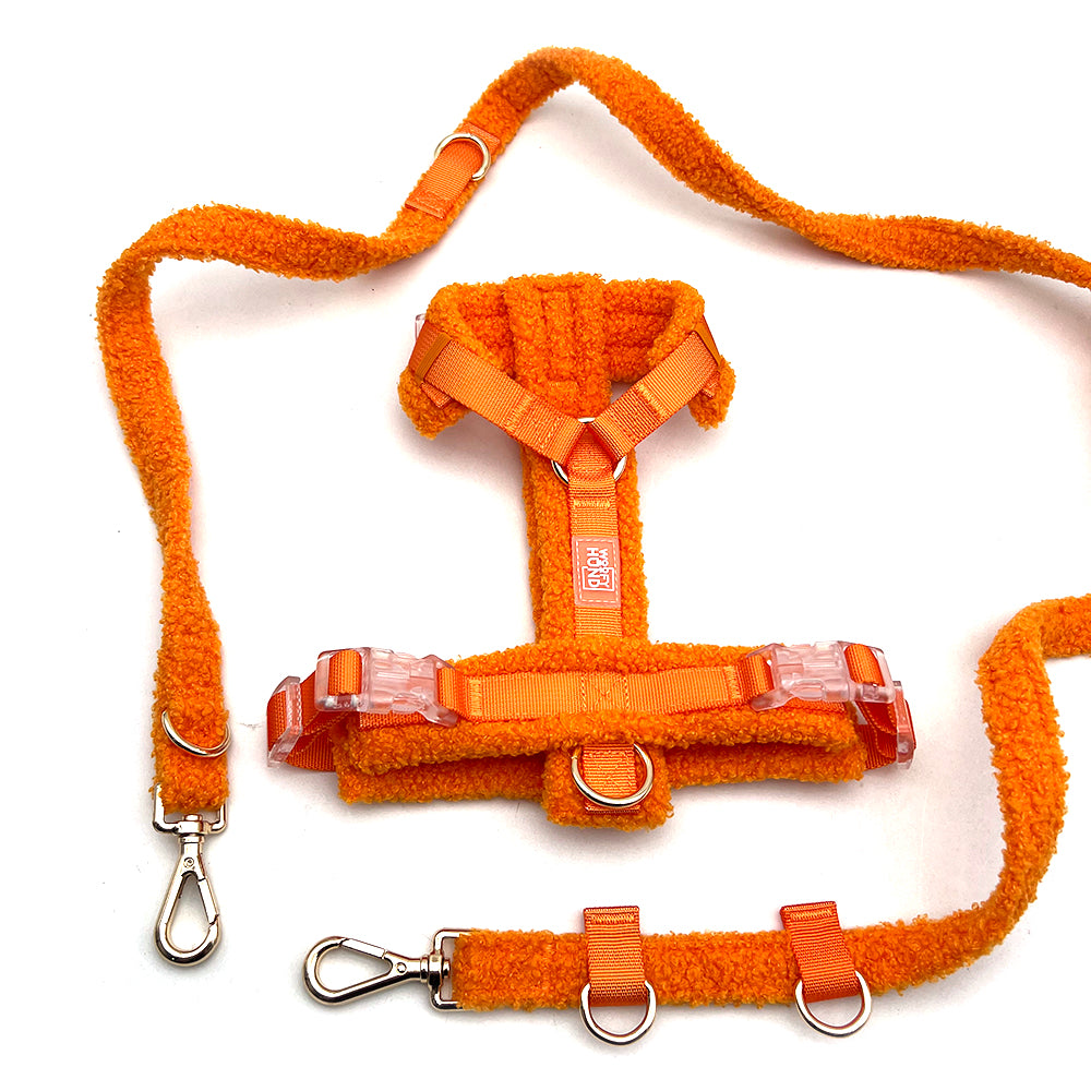 Teddy Harness & Leash Set – Vibrant Orange