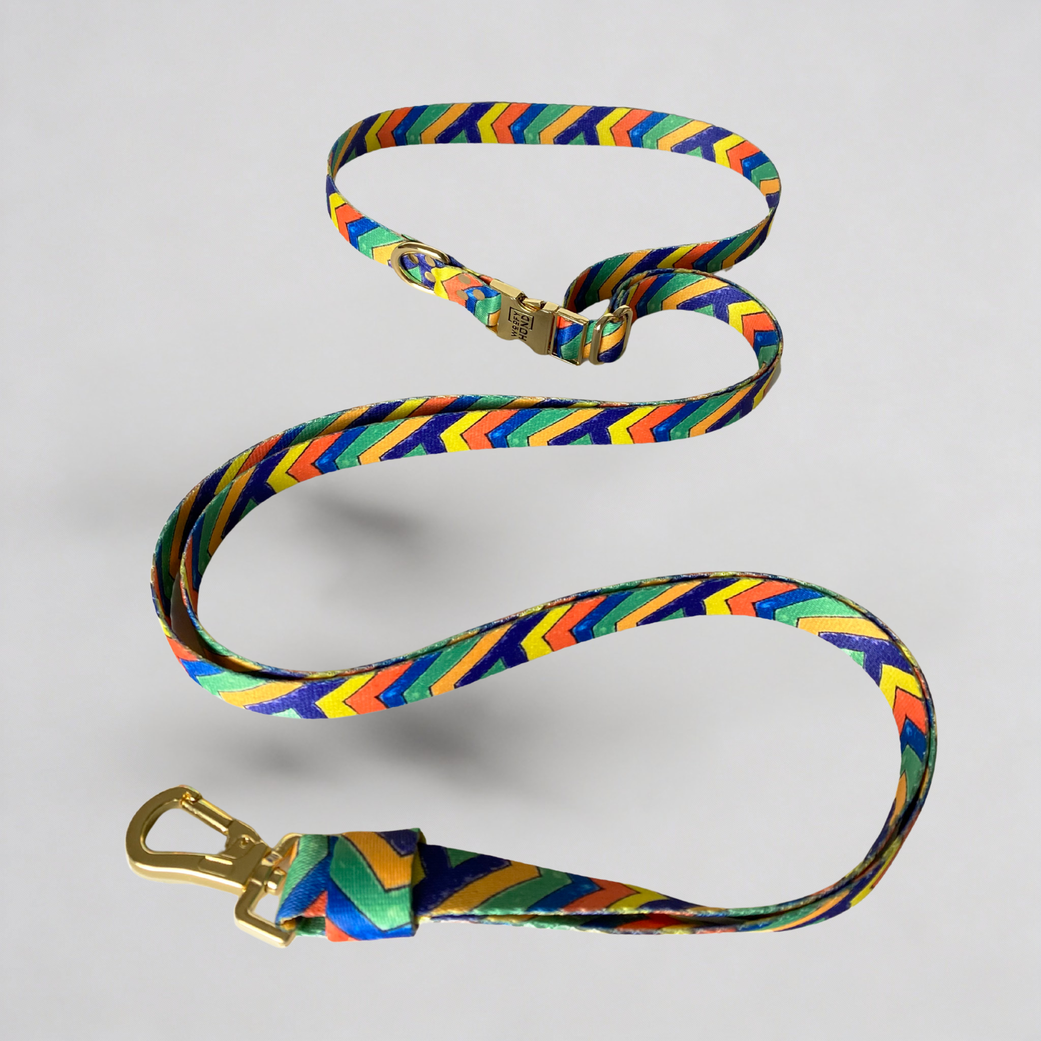 Hands-Free Dog Leash – Festival