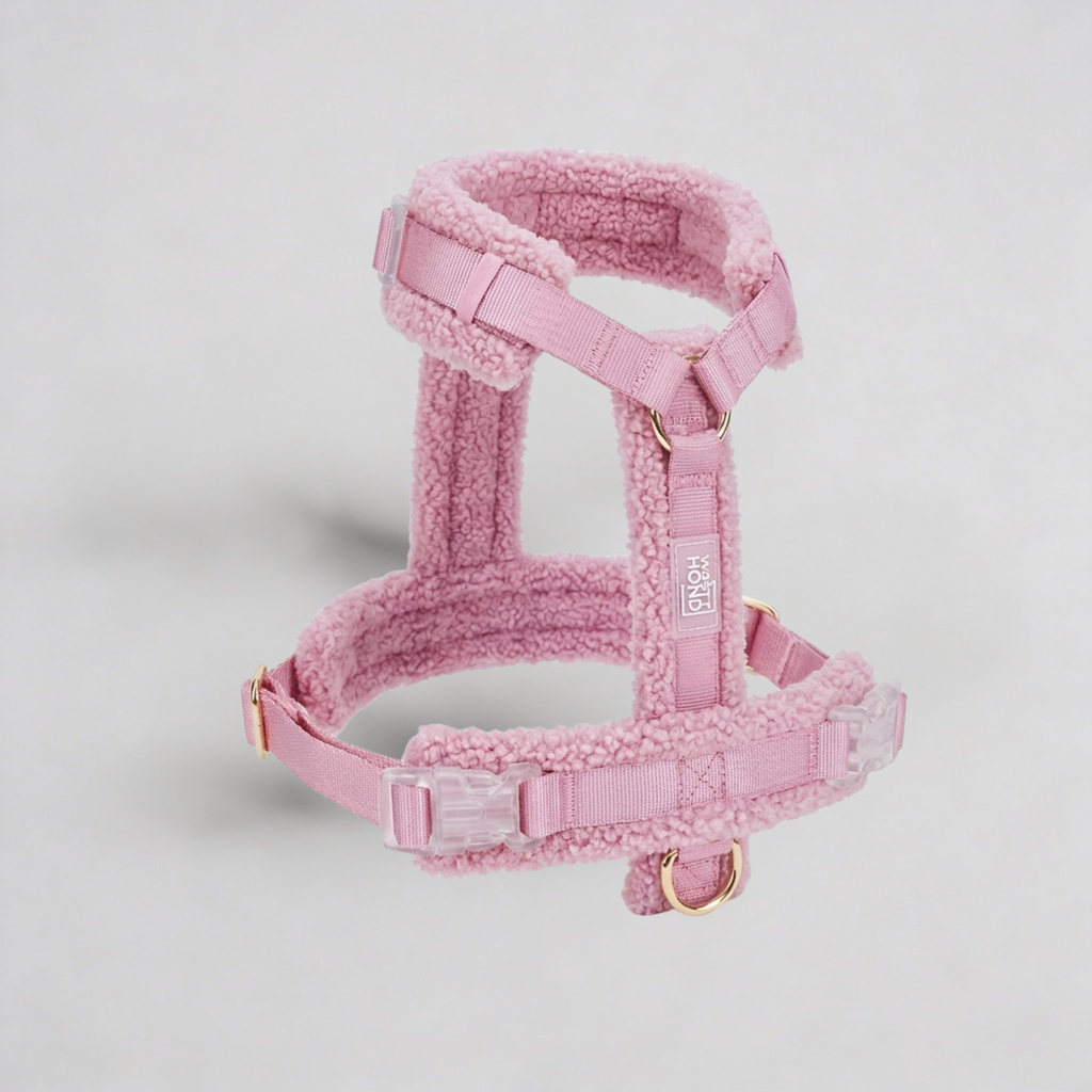 Teddy Harness & Leash Set – Soft Pink