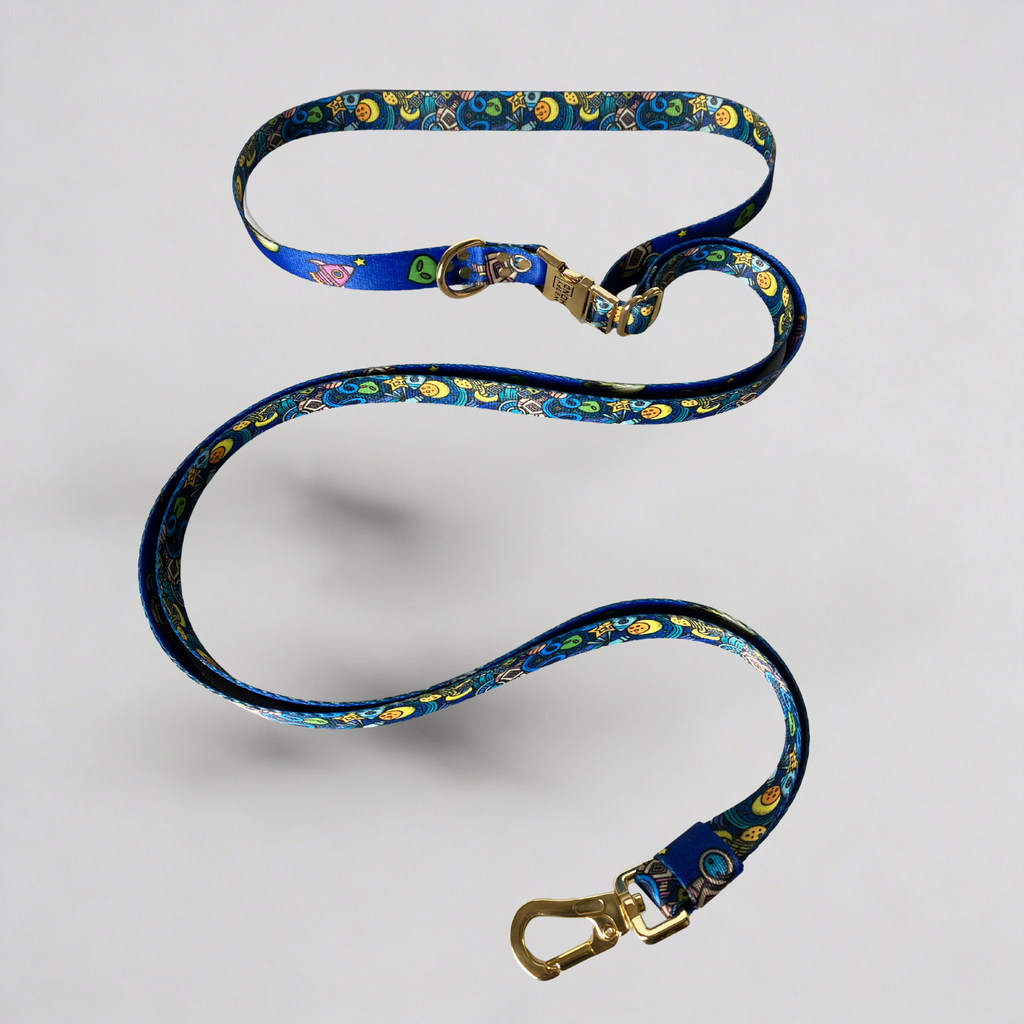 Hands-Free Dog Leash – Galaxy
