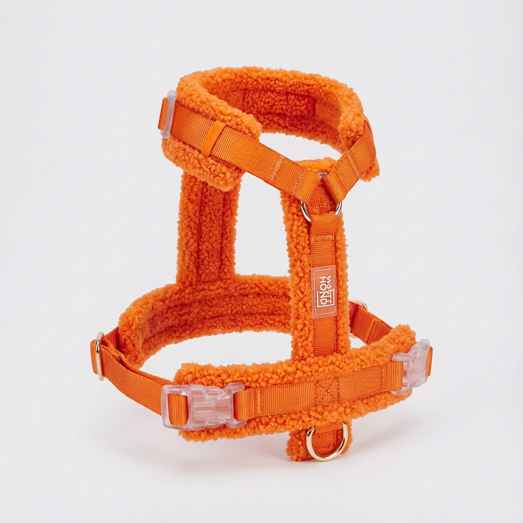 Teddy Harness & Leash Set – Vibrant Orange