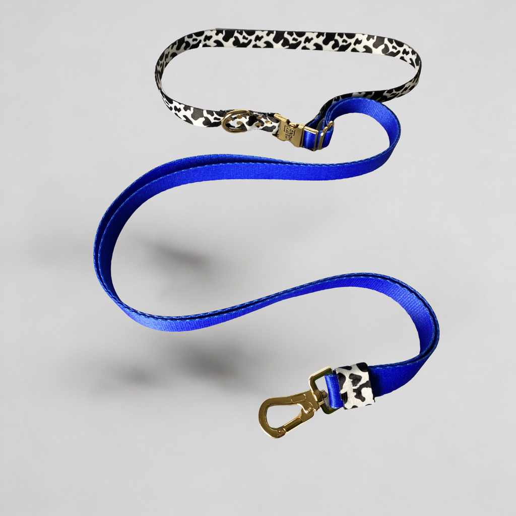 Hands-Free Dog Leash – Blueberry Blue
