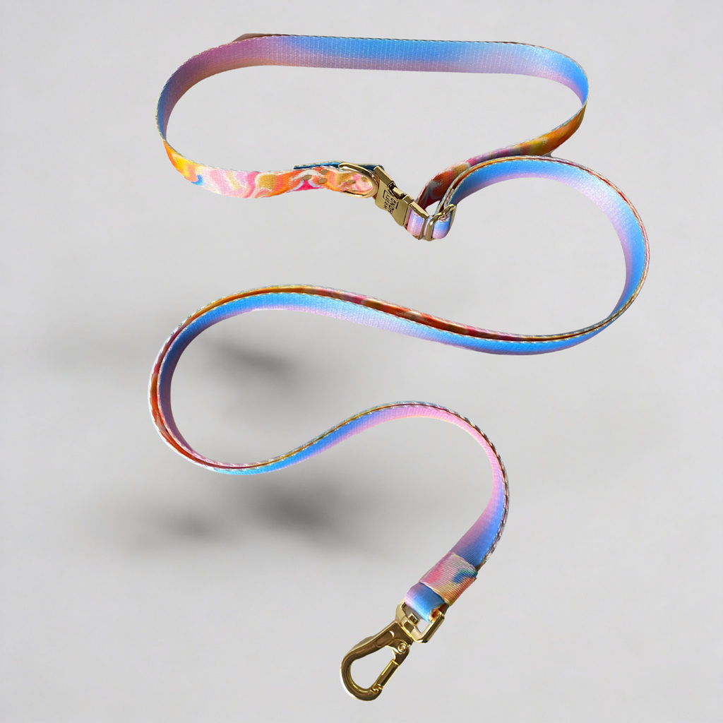 Hands-Free Dog Leash – Aurora