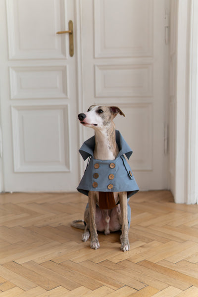 Water-repellent Dog Trench Coat - Light Blue-0