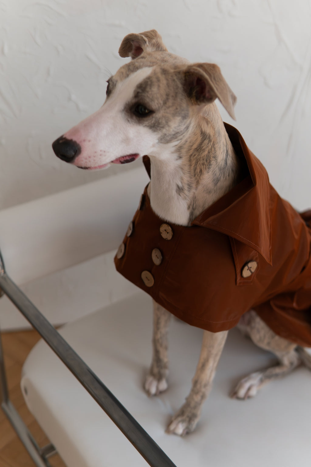 Water-repellent Dog Trench Coat - Chocolate Brown-3
