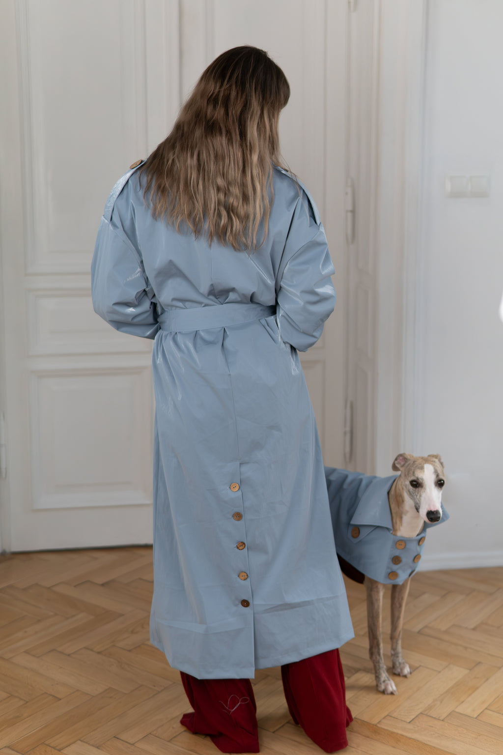 Water-repellent Dog Trench Coat - Light Blue-2