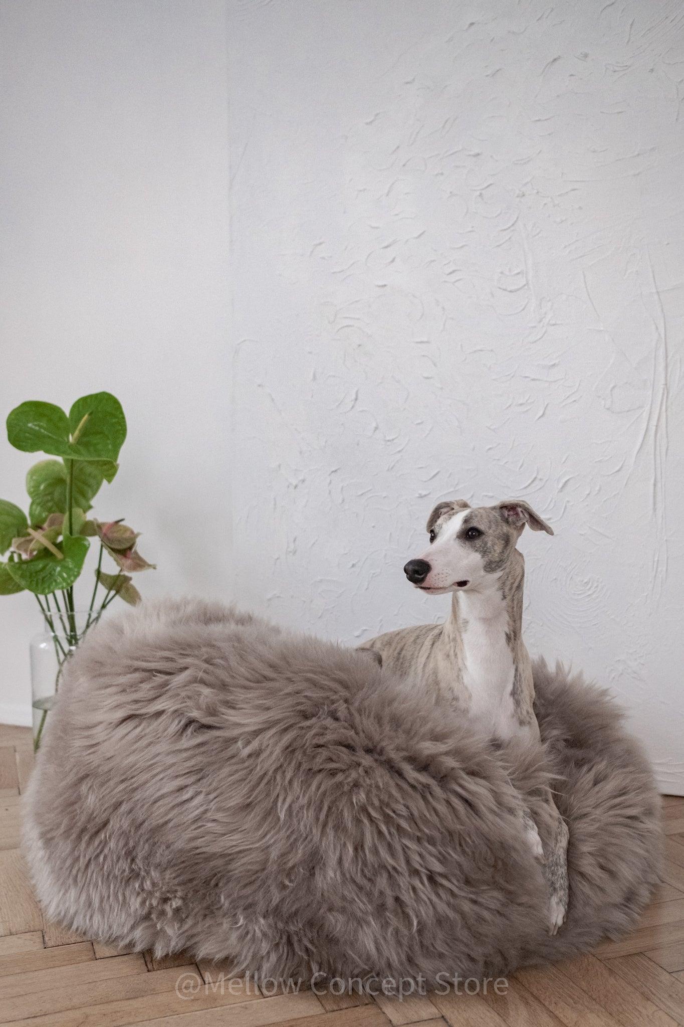 Oval Natural Sheepskin Pet Bed in Greige – Plastic-Free Pouf
