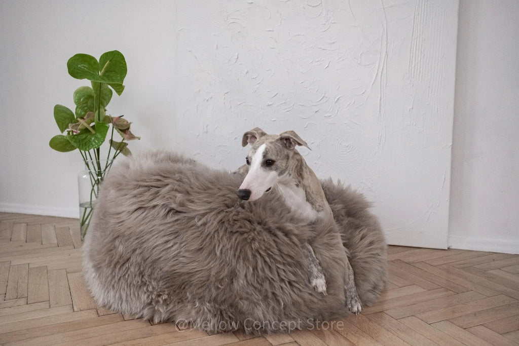 Oval Natural Sheepskin Pet Bed in Greige – Plastic-Free Pouf