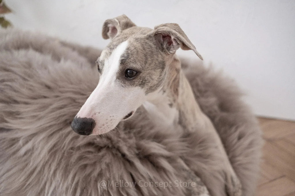 Oval Natural Sheepskin Pet Bed in Greige – Plastic-Free Pouf