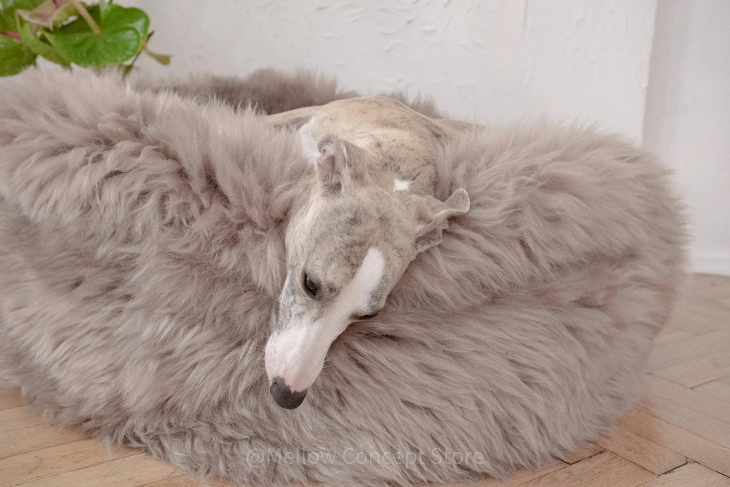 Oval Natural Sheepskin Pet Bed in Greige – Plastic-Free Pouf