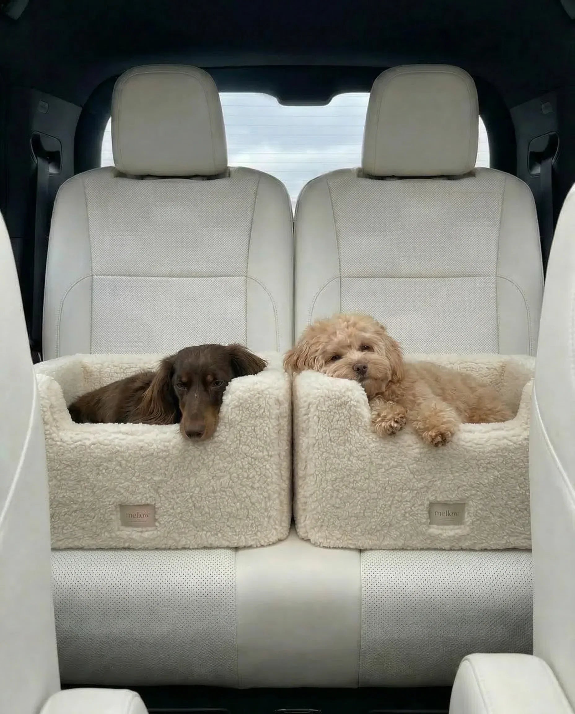 Natural Wool Dog Carrier - White-4