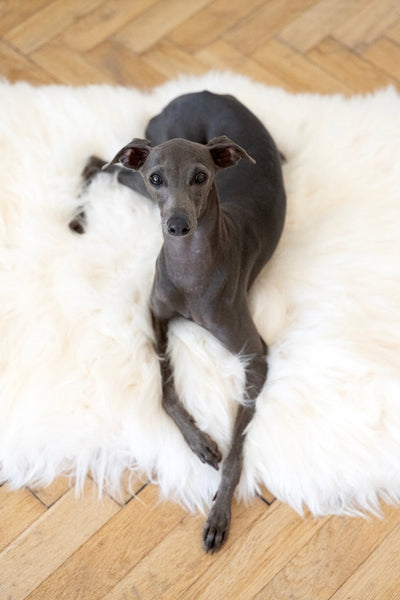 Square or Rectangular Natural Sheepskin Pet Mat - White-0