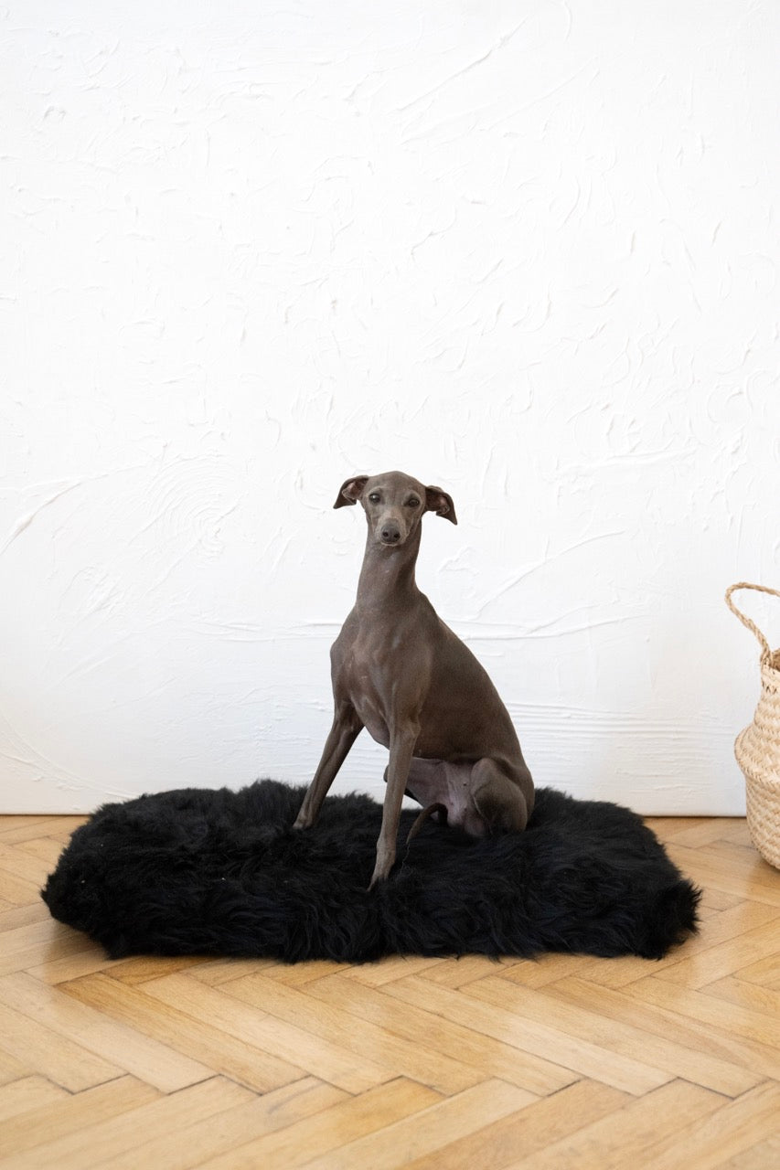 Square or Rectangular Natural Sheepskin Pet Mat - Black-2