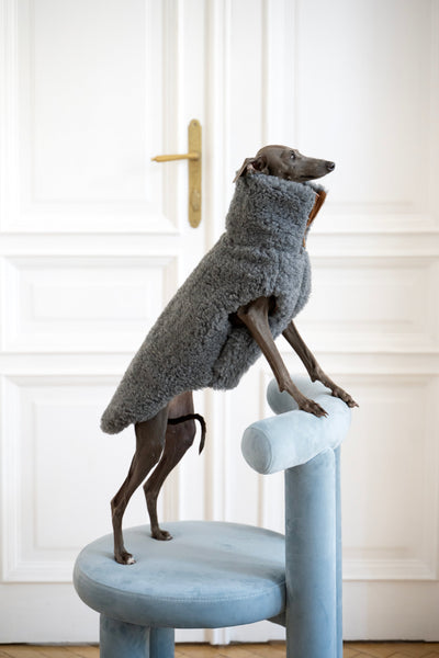 Woolen Dog Vest - Dark Grey-0