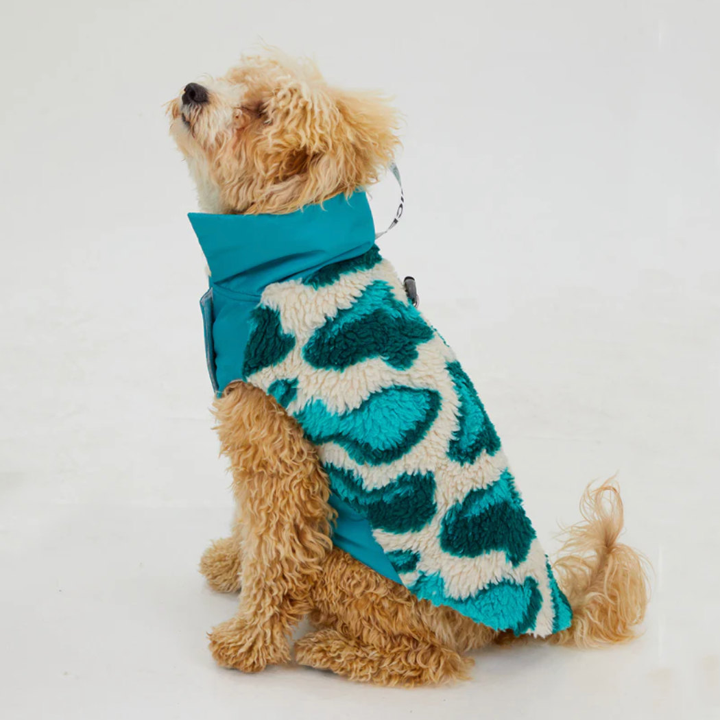 Turquoise Dream Fleece & Wool Dog Coat