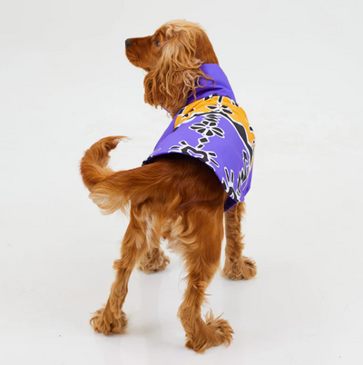 RainWoof Waterproof Dog Jacket