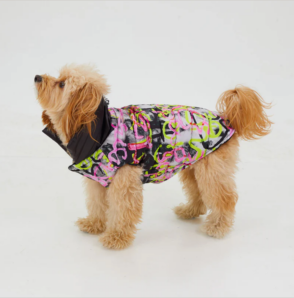 Graffiti Water-Resistant Puffer Jacket
