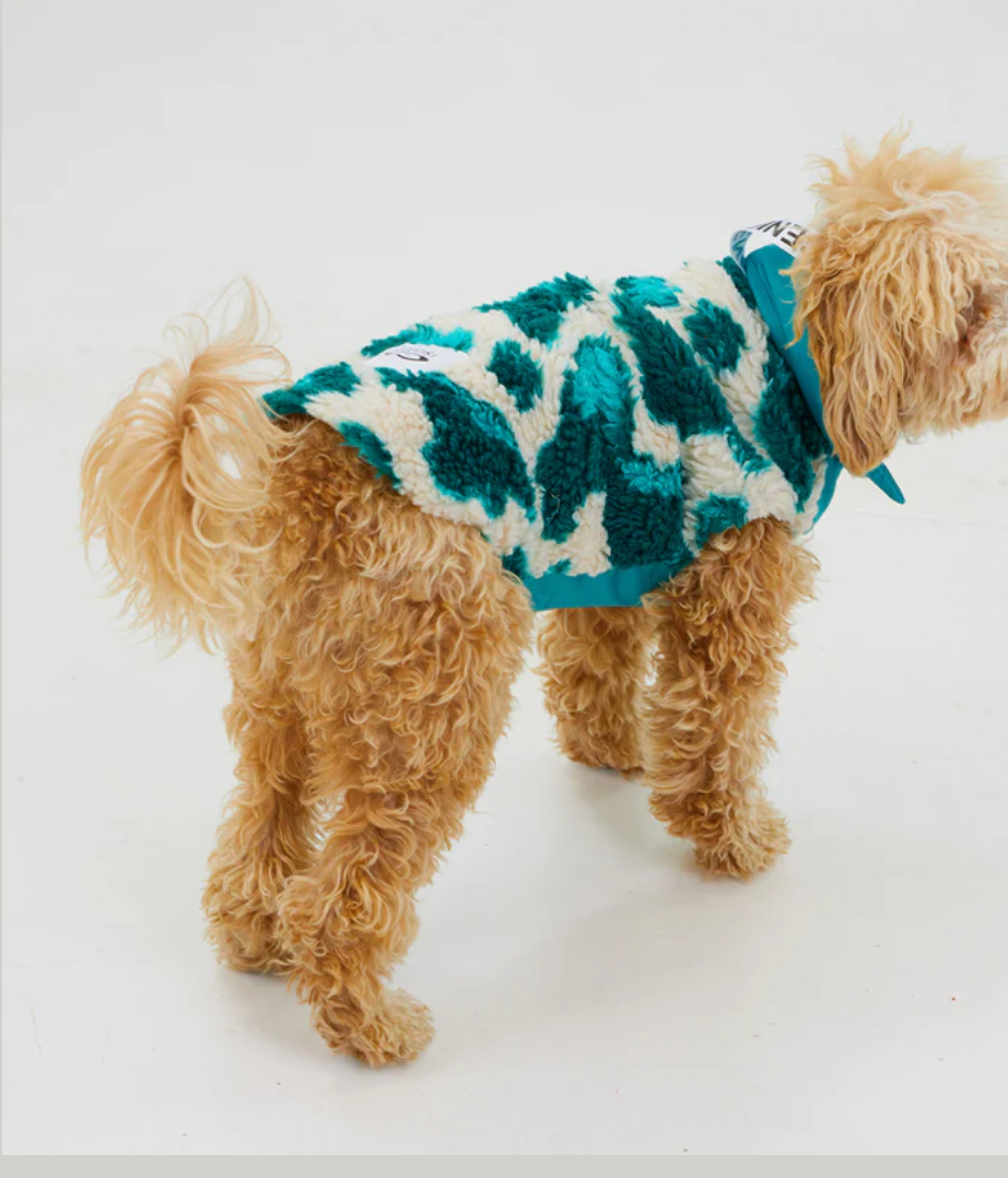 Turquoise Dream Fleece & Wool Dog Coat