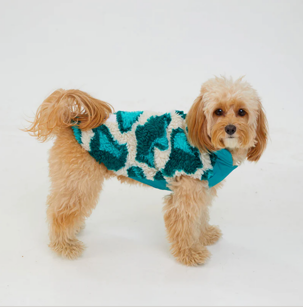 Turquoise Dream Fleece & Wool Dog Coat