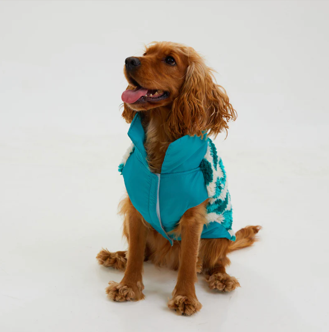 Turquoise Dream Fleece & Wool Dog Coat