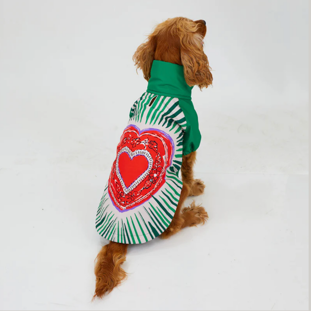LoveShield Waterproof Dog Raincoat