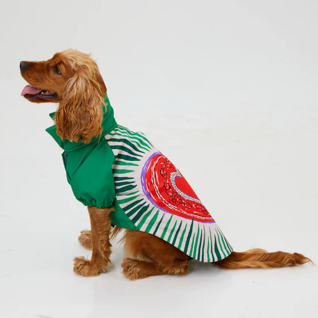 LoveShield Waterproof Dog Raincoat