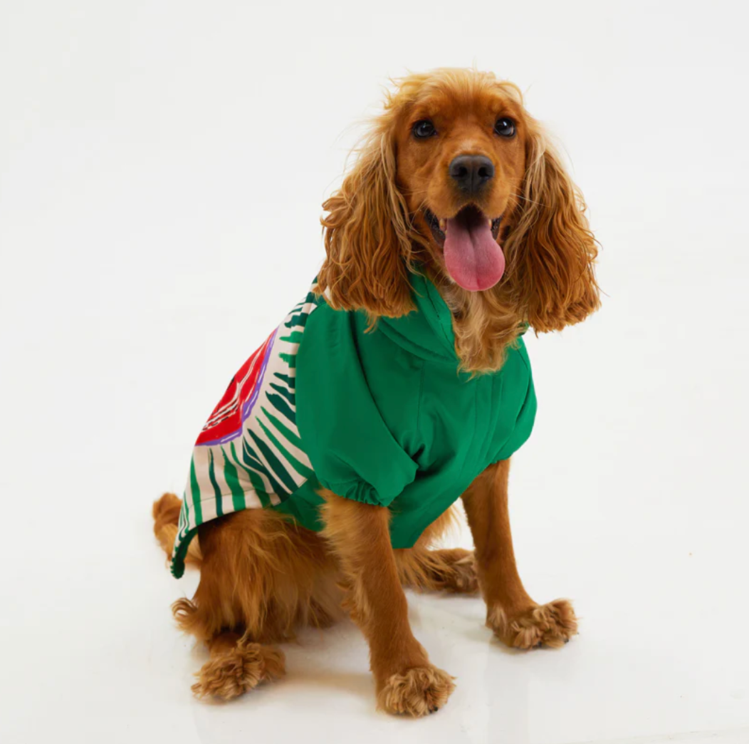 LoveShield Waterproof Dog Raincoat