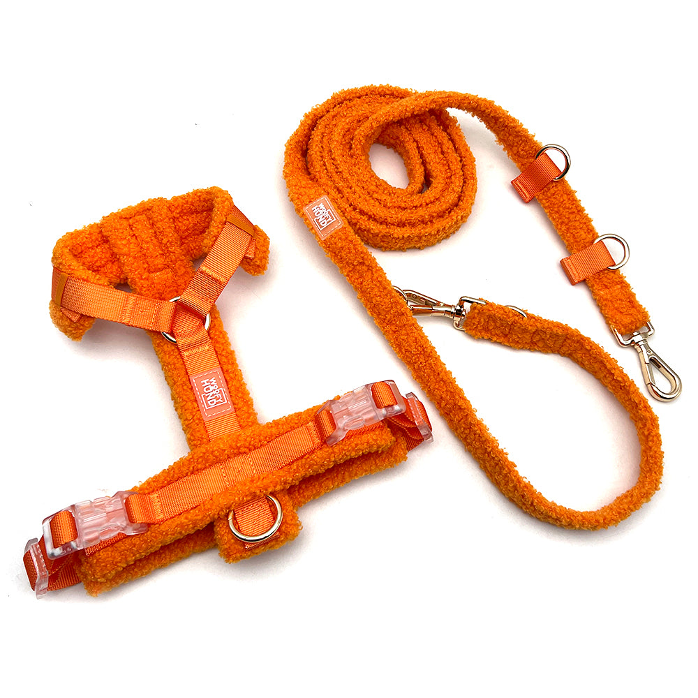 Teddy-Geschirr & Leinen-Set – Leuchtendes Orange