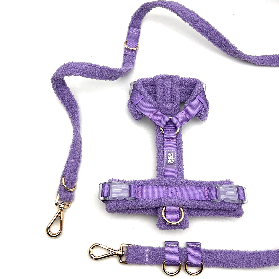 Teddy Harness & Leash Set – Violet Lavender